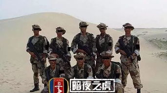 (203 代号)203代号首长：揭秘特种部队最神秘的领导者身份