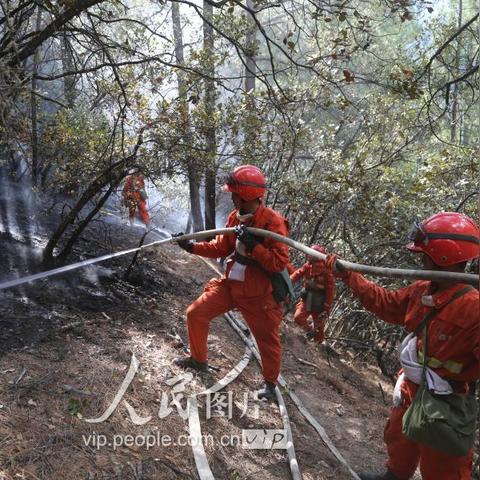 雅江火灾最新情况:致多人受伤,消防员紧急扑救,火势仍未得到控制。 雅江火灾最新情况:致多人受伤,消防员紧急扑救,火势仍未得到控制。
