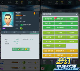(梦幻冠军足球最佳阵型)梦幻冠军足球攻略：掌握技巧与策略，轻松打造你的足球梦之队