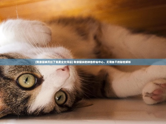我家猫开的修仙中心供应无限鱼干，猫咪们修炼之余尽享美味盛宴