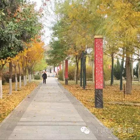 (天际探险指南)天际冒险日记：穿越时空的奇幻旅程与未知世界的探秘