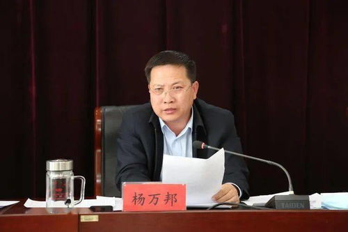 (霹雳布袋戏2021年新剧)霹雳布袋戏2024年将会有多少部新作品推出？
