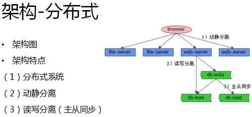 (几何进化史)探索几何进化图：揭示形状与结构在自然界中的演化与变迁