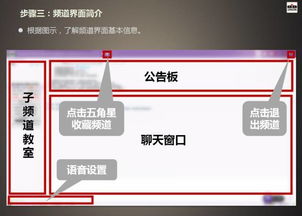 如何快速解决电脑软件界面放大问题，恢复到正常显示大小的全面指南