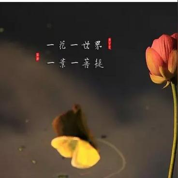 (一念永恒磨砺)一念永恒：少年追梦速度，闪耀青春的路上永不止步