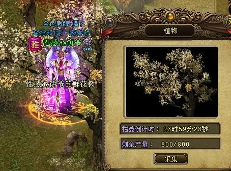 (炎黄大陆怎么玩)炎黄大陆砍树宠物：探讨最佳组合，哪种植物最适合？