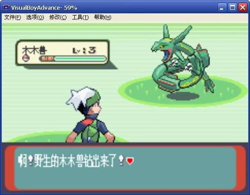 掌握口袋妖怪口袋暴龙金手指代码，轻松打造最强战队——攻略、秘籍及使用细节解读