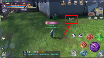 (找到庄园的入口)探寻庄园合合任务攻略图，解密秘境探险之谜
