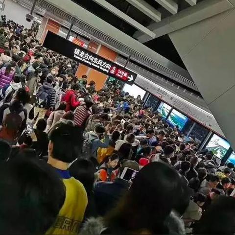 生化围城好玩吗？全面解析游戏特色与玩家体验，带你深入探讨这款热门作品的魅力所在