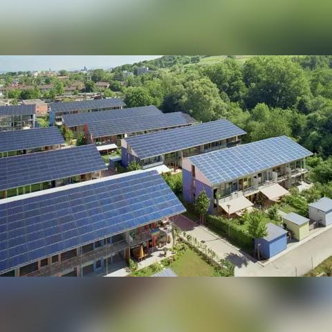 (猫宅日记的礼包码是多少)2024年猫宅日记兑换码：全新电视版带来全新体验