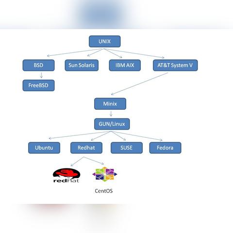 (fedora有长期支持版本吗)选择最佳 Fedora 版本的指南：各版本特点与适用场景分析