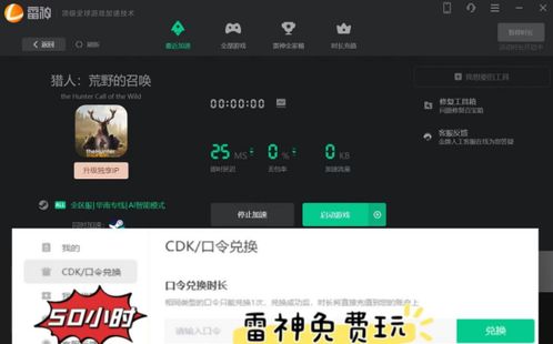 (荒野的召唤报错怎么解决)在荒野的召唤中创建账户需要输入验证码，验证身份确保安全。