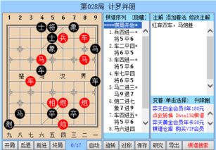 星罗棋布的意思：如何理解并运用这一古老语汇在现代社会规划中的积极作用