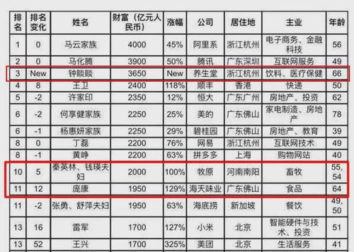 (咪呜记账簿攻略)以成为财富大亨为目标，探索咪呜记账簿游戏的奇幻财务世界