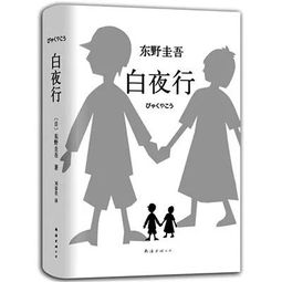 (东野圭吾《幻夜》读后感)东野圭吾的幻夜内容介绍和读后感分享