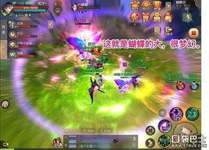 (织梦者蝴蝶效应)织梦森林手游蝶舞迷梦关卡攻略：详解如何顺利通关及技巧分享