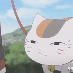 (猫宅日记兑换码2021)猫宅日记传说：猫咪卡兑换码是什么？