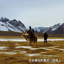 (世界守卫军全英雄解锁)微信小程序世界守卫军攻略：打造最强守护阵容，拯救世界！