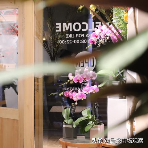 (小白不言弃内购破解版h5)小白不言弃游戏：挑战自我，突破极限，坚持到底，终有所成！