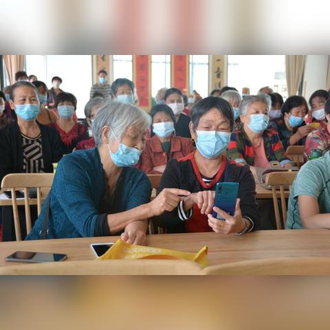 老年人学习电脑图片：让智慧与科技共舞，挑战年龄枷锁，开启数字化生活之旅