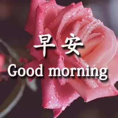 (关于山海的文案句子)探寻山海之美，品味干净简约的文案短句