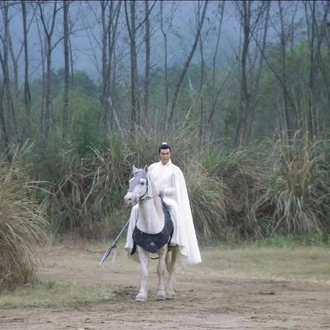 (北凉悍刀行手游怎么样大神们)北凉悍刀行手游全面评测：探索江湖世界与战斗策略的完美结合