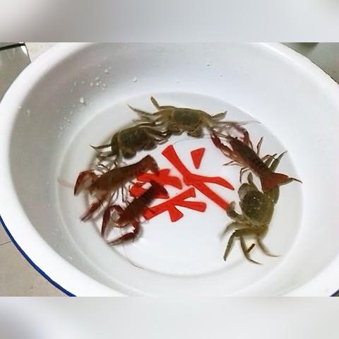 (智慧斗士大师赛2020年还有吗)挑战极限！智慧斗士大师赛：勇者逆袭的征程