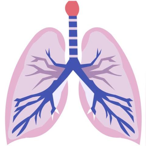 (灰尘吞噬怪中文版下载)灰尘吞噬进化大结局：当科技与自然交锋，人类命运如何重塑？