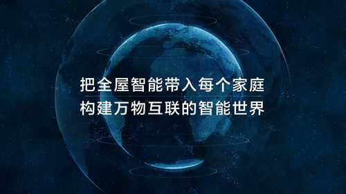 代号弥弥尔是哪家公司？揭秘神秘公司背后的创意与战略，探索其公司文化和业务领域