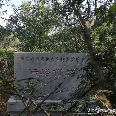 (修真模拟器手游攻略全攻略)修真模拟器攻略：掌握修真秘籍，成为修真大师的必备指南