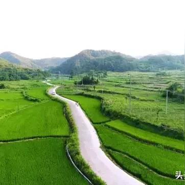 (大白鹅模拟器下载安装)一键体验农场生活：大白鹅模拟器手机版带你探索自然乐趣