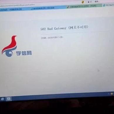 (502 错误代码)什么是502错误代码以及如何解决这个错误问题？