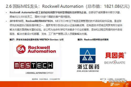 深度解析：社会化发展视野下的'不谈恋爱就完蛋了'现象——以现代情感纠葛为分析要点