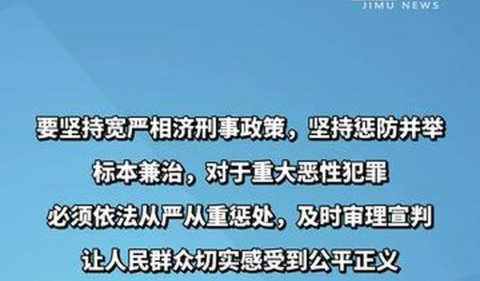 (重大、恶性案件的标准)深入探讨对重大恶性犯罪依法从严惩治的重要性与实施路径