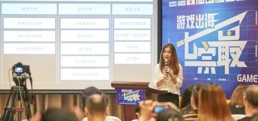 (996游戏平台)揭秘谜一般996游戏公司内幕：我是凶手