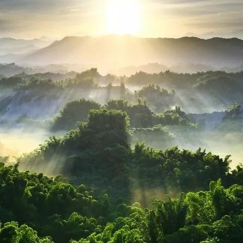 探寻神秘失踪：山海异闻录之妖错图为何突然消失，背后隐藏着怎样的秘密?