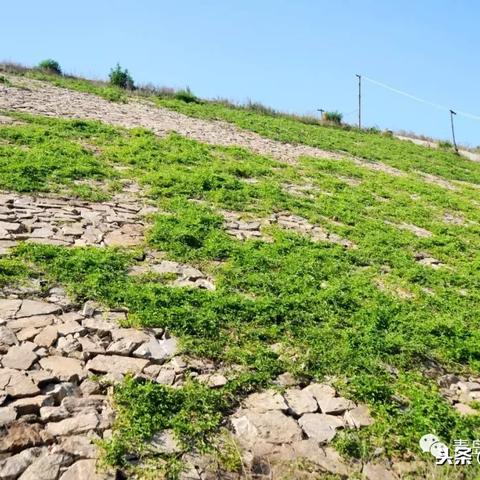 (荣耀全明星新区开启时间)荣耀全明星新区发布：精彩纷呈，无限可能，激情开启！