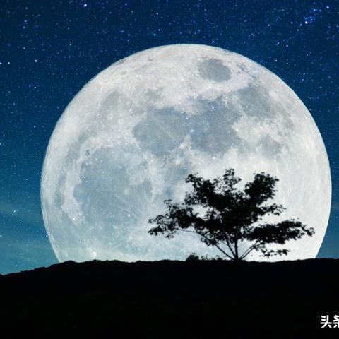 (满月之旅)探索佳期月圆游戏的奇幻世界：如何在满月之夜收获幸福与勇气