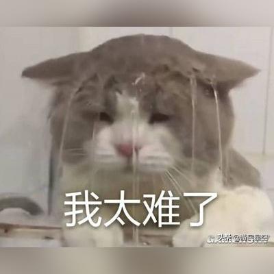 (我有一剑后面是什么)我有一剑一念是谁，揭开天地玄机的真相