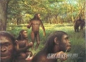 (猿猴进化人类图)漫步人类进化之路：探索猿猴进化游戏的神秘世界