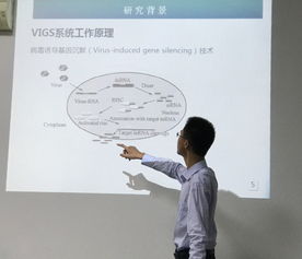 (猜想是科学探究的起点)探索猜想的意义与价值：从科学研究到日常思维的启示