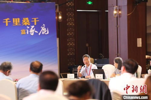 (李延军《黄帝传》)探寻黄帝传：李延军对华夏文化的深刻解读与影响研究