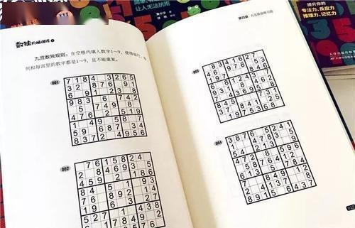 探索10级骨灰级数独：挑战极限智力，释放大脑潜力，开启无尽推理乐趣