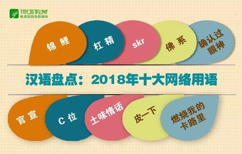 (网络用语汇集)前方高能！网络用语大解析，揭秘热门词汇背后的故事和文化。