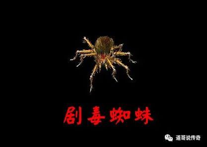 (蓝色蜘蛛图标)传奇里蓝色蜘蛛是什么？传说中的神秘生物还是简单怪物？
