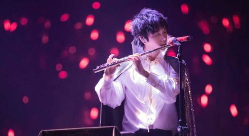 (华晨宇 代)华晨宇的代号：揭示他在音乐旅程中的独特身份与魅力