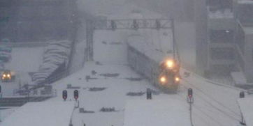 (代号爆发)代号暴风雪：一场席卷全球的信息风暴，揭开了背后的真相