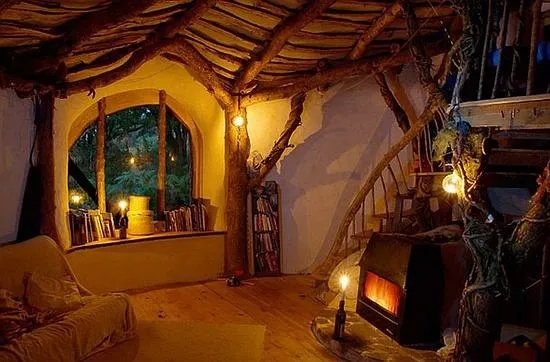 (魔法森林中的神秘小屋)探秘神秘魔法森林，展开一场奇幻大冒险