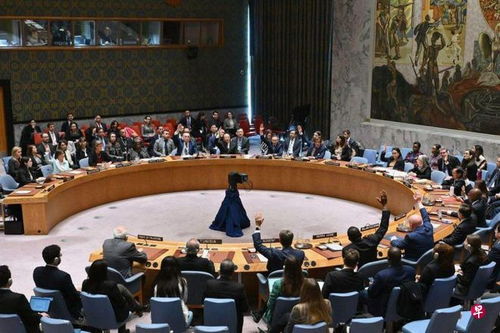 联合国即将就加沙停火决议进行表决，国际社会瞩目该决定结果