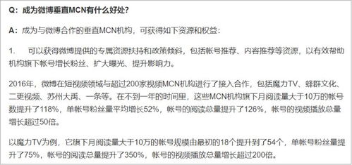 (铁丝 号)揭秘神秘组织：代号铁丝网的真实身份与隐藏在幕后的秘密